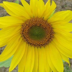 Meet your Posher, Steph